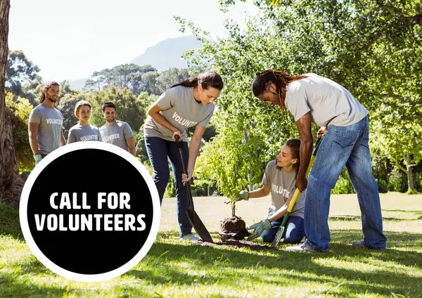 Gönüllülerin Ağaç Dikme Dijital Bileşimi — Stok fotoğraf