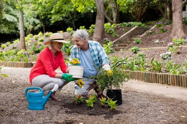 Senior Couple Gardening Bersama — Stok Foto