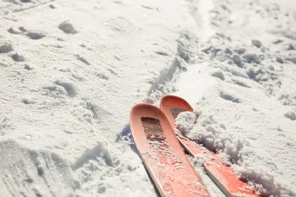 雪地上的滑雪特写 — 图库照片