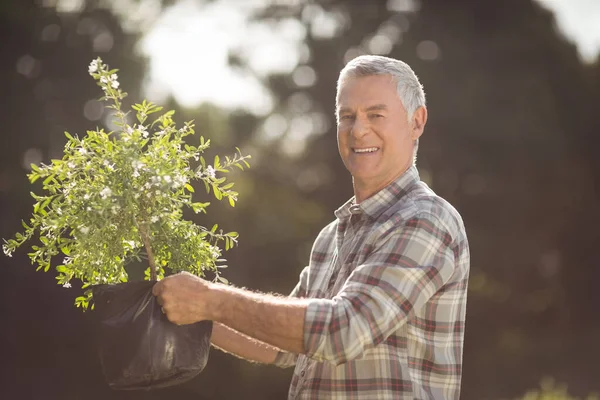 Senior Homem Jardinagem Planta — Fotografia de Stock