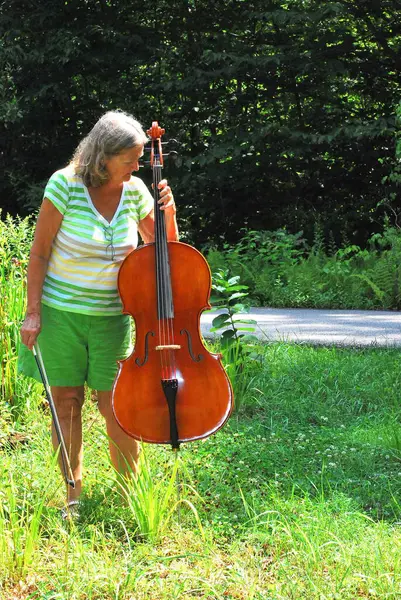 Uma Mulher Com Violino — Fotografia de Stock
