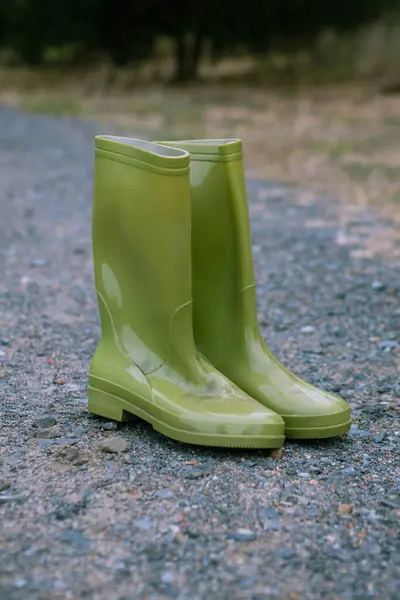 緑のウェリントン ブーツのペア — ストック写真