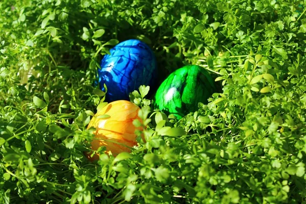 Huevos Pascua Berro —  Fotos de Stock