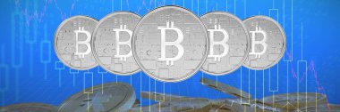 Bitcoin 'in birleşik resmi