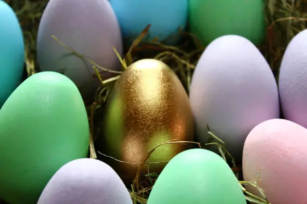 Huevo Pascua Dorado Muchos Huevos Colores —  Fotos de Stock
