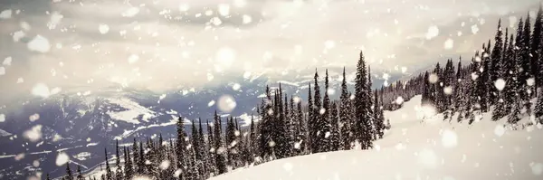 Abfahrt Von Schneebedeckten Bergen — Stockfoto