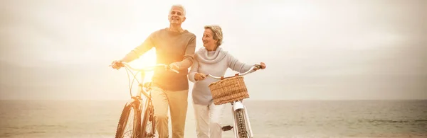 Senioren Ehepaar Mit Ihren Fahrrädern — Stockfoto