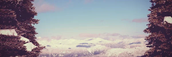 Inverno Paisagem Vista Panorâmica — Fotografia de Stock