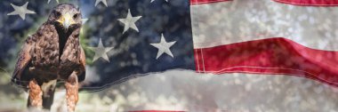 Kartallı buruşuk Amerikan bayrağı.