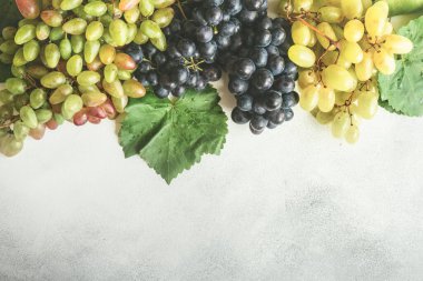 Arka plan için taze organik üzümlerin yakın plan çekimi.