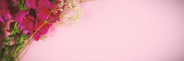 粉色和绿色的花朵在粉红色背景上 — 图库照片