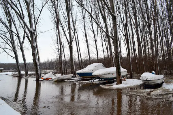 Boats Immobilized Flood Zone Borcea Arm Meadow — Stock Photo, Image