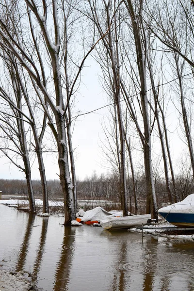 Boats Immobilized Flood Zone Borcea Arm Meadow — Stock Photo, Image