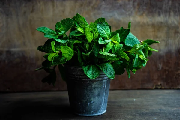 Close Shot Organic Mint Leaves — Stock Photo, Image