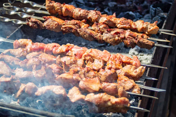 Barbecue Meat Skewers — Stock Photo, Image