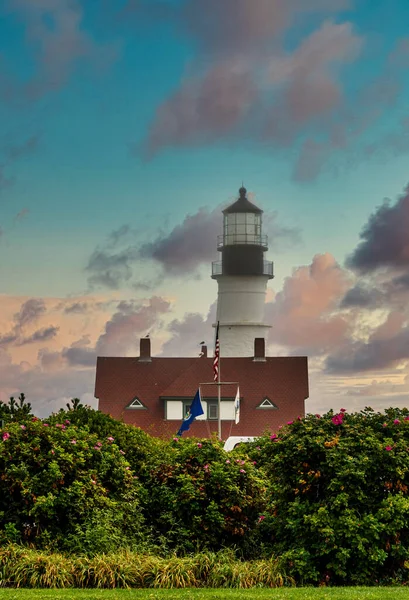 Porland Head Lighthouse Shrubs Dusk — Stock Photo, Image