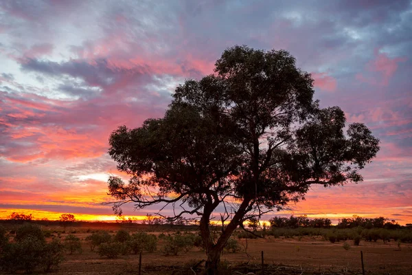 Outback Sunrise Landscape Australia — Stock Photo, Image