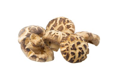 taze shiitake mantar beyaz izole