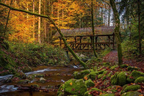 Germany Forests Autumn Stones Bridges Baden-Baden Moss Stream Nature Image. forest, bridge, stone, Streams, Creek, Creeks, brook 4k Image.