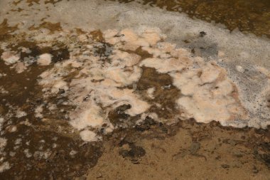 Kanalizasyon suyu. çevre kirliliği kavramı