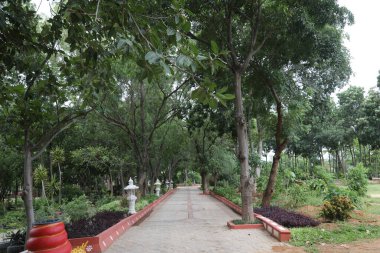 Şehir parkının güzel manzarası