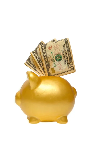 Porquinho Dourado Fundo Branco — Fotografia de Stock
