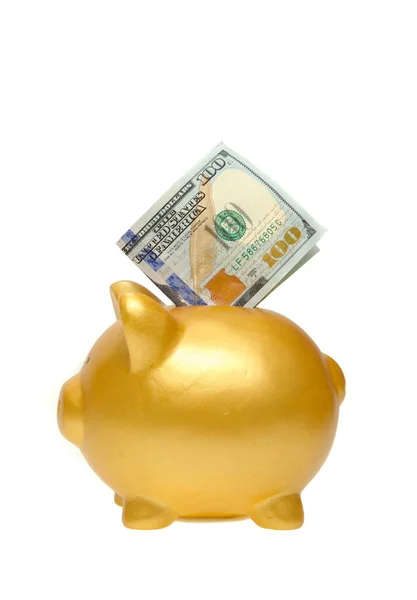 Porquinho Dourado Fundo Branco — Fotografia de Stock