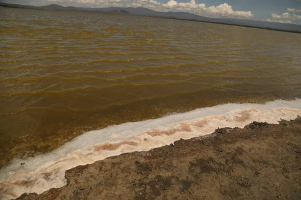 Дренажна Вода Концепція Забруднення Навколишнього Середовища — стокове фото