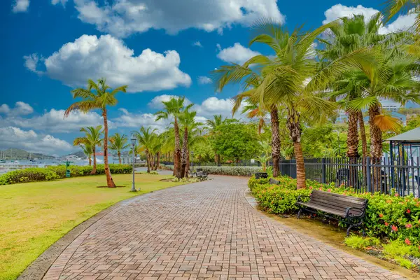 Walkway ve Bench Palm Trees boyunca