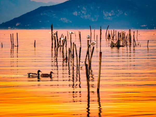 Lake Garda Evening — Stock Photo, Image