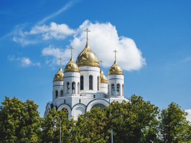 Katedral, İsa'nın kurtarıcı Kaliningrad, Rusya Federasyonu.