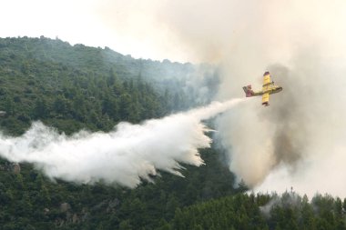 Ormanın üzerinde uçan ve su döken itfaiye uçağı 