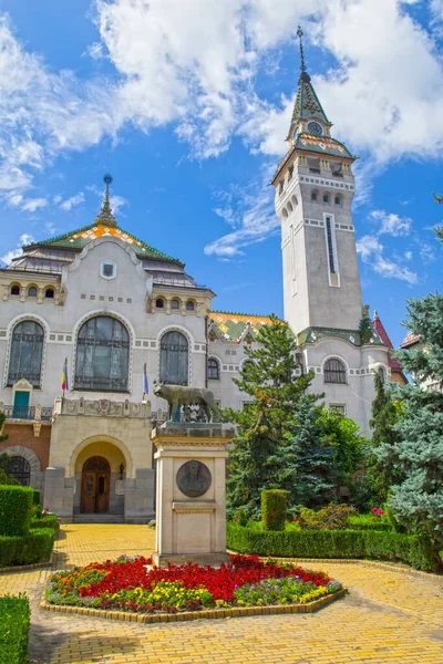 Piękny Widok Pałac Administracyjny Targu Mures — Zdjęcie stockowe