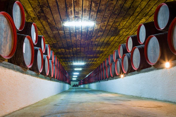 地下ワインの木製樽スタック — ストック写真