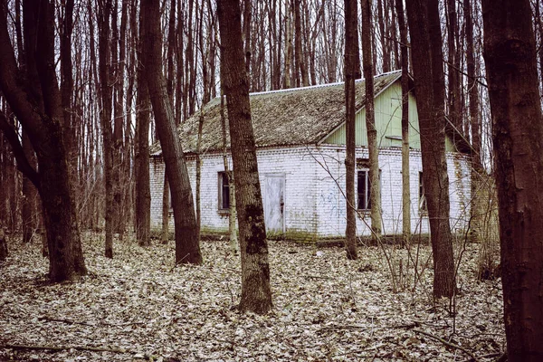 Stary Opuszczony Dom Ciemnym Lesie — Zdjęcie stockowe