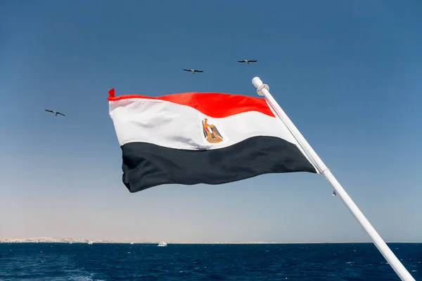 Bandera Nacional Egipto Ondea Viento Sobre Mar Rojo — Foto de Stock