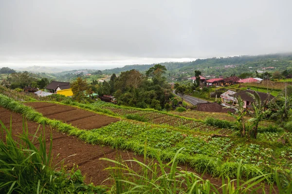 Panorama View Agricultural Fields Batur Volcano Kintamani Winter Rainy Cloudy — Stock Photo, Image