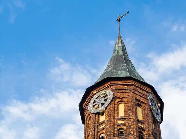 Cathedral Koenigsberg Clock Tower Blue Sky Background Kaliningrad Russia — Stock Photo, Image
