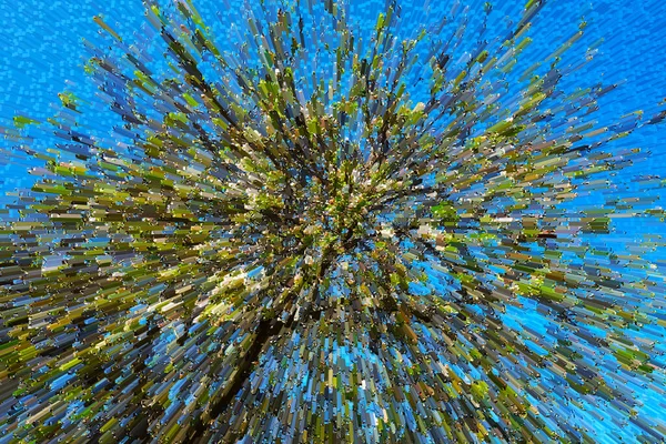 Maçã Árvore Ramos Florescer Uma Primavera Irreversível — Fotografia de Stock