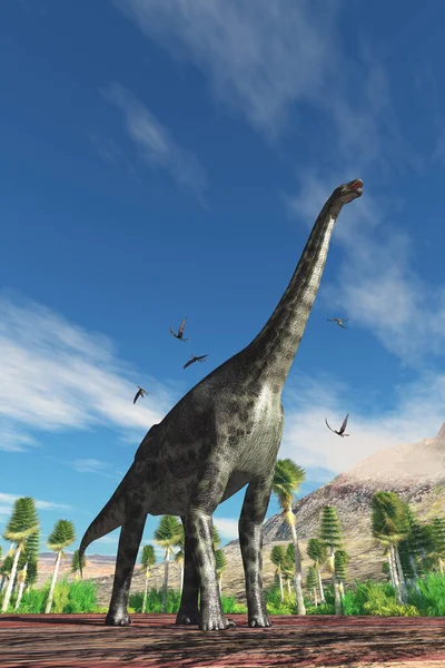 Cetiosaurus Dinosaurier Aus Nächster Nähe — Stockfoto