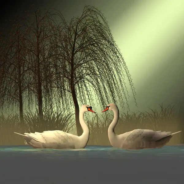 Dois Cisnes Mudos Ilustração Colorida — Fotografia de Stock
