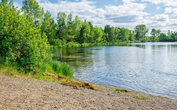 Piękne Tło Natury Krajobraz Jeziorem Letni Dzień — Zdjęcie stockowe