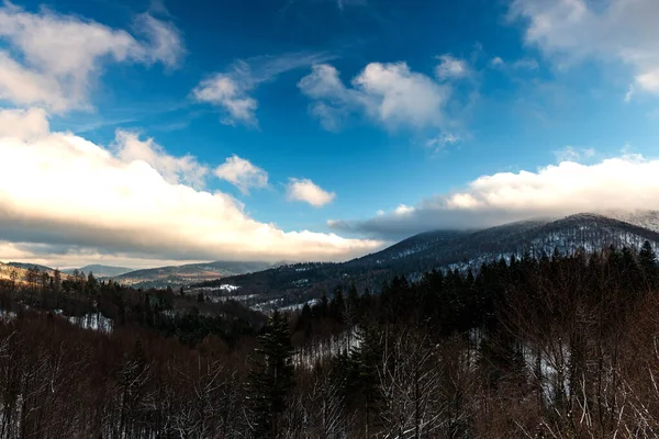 Prachtig Winterlandschap Natuur Achtergrond — Stockfoto