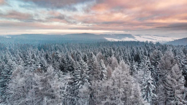 Wschód Słońca Nad Snowy Pine Trees Piękne Niebo Chmury Antena — Zdjęcie stockowe