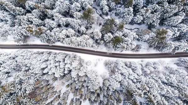 Road Trough Winter Wonderland Top Drone View — Stockfoto