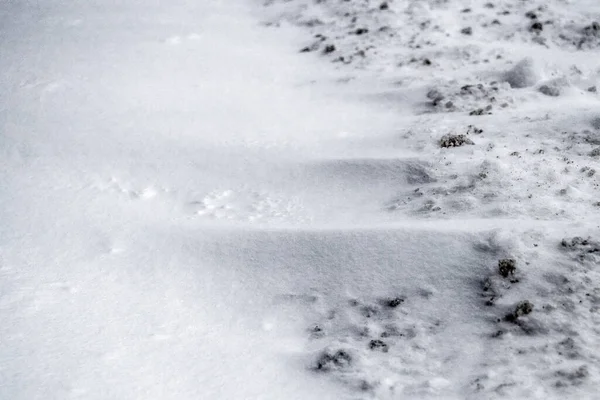 雪风土堆背景 冬季寒冷的天气纹理 — 图库照片