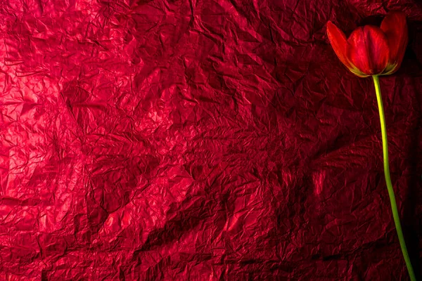Abstrakter Kreativer Hintergrund Rot Geprägter Hintergrund — Stockfoto