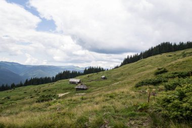 yeşil dağların peyzaj