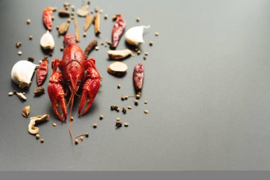 Crayfish red, Baby Lobster with herb for stir fry. Tasty Japanese seafood concept