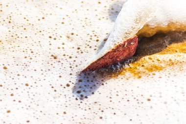 Kumsalda deniz kabuğu, suyla yıkanmış.